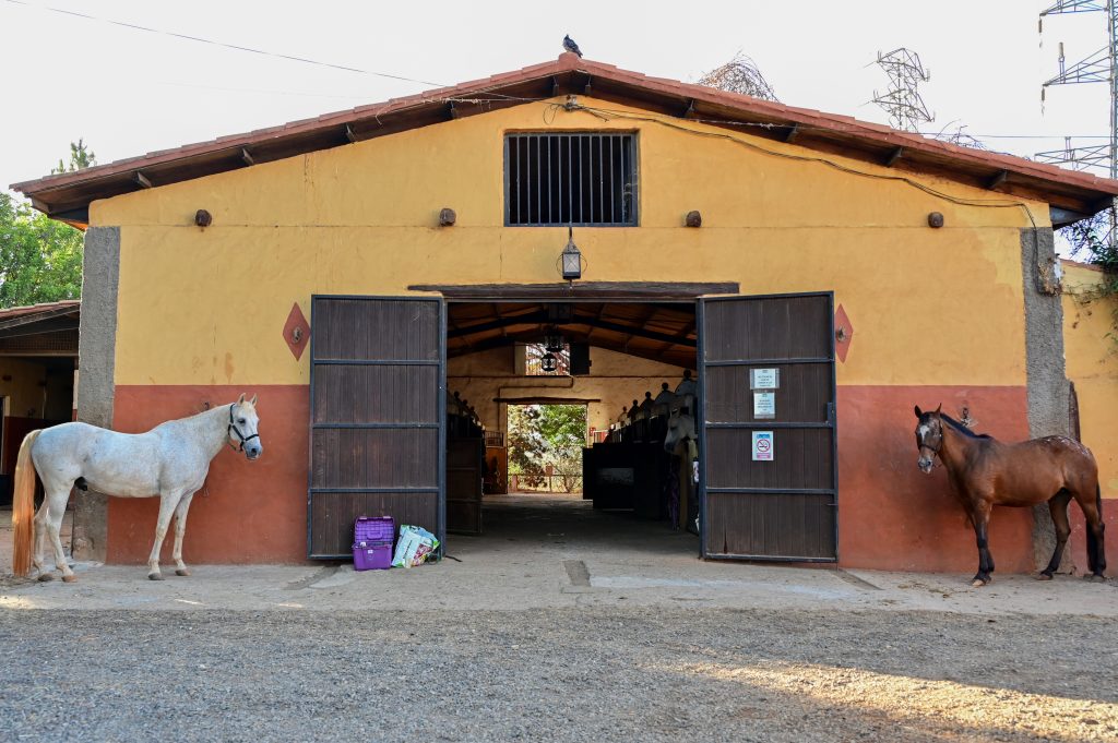 Hipica san mateo