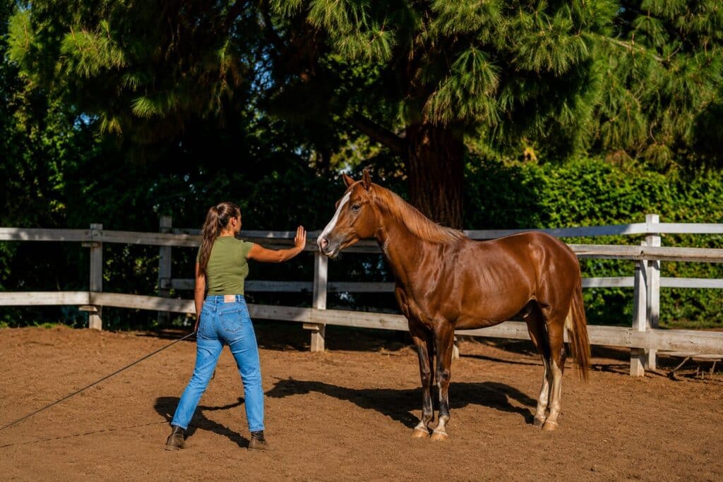 Entrenamiento con caballo